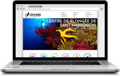 Diving Corsica